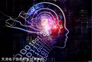 邁向國際高端服務(wù)業(yè)的橋梁——國家示范校央財支持重點建設(shè)專業(yè)“軟件外包服務(wù)”建設(shè)綜述